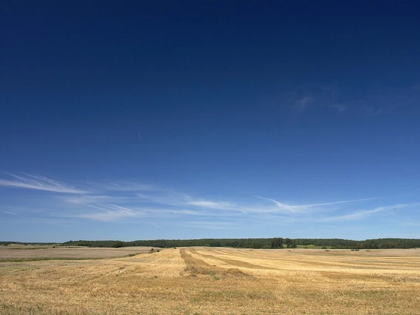 Feldflur in der Barnimer Feldmark