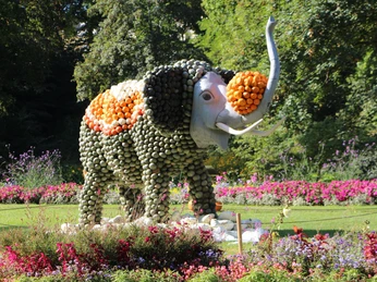 Kürbisausstellung auf dem Spargel- und Erlebnishof Klaistow