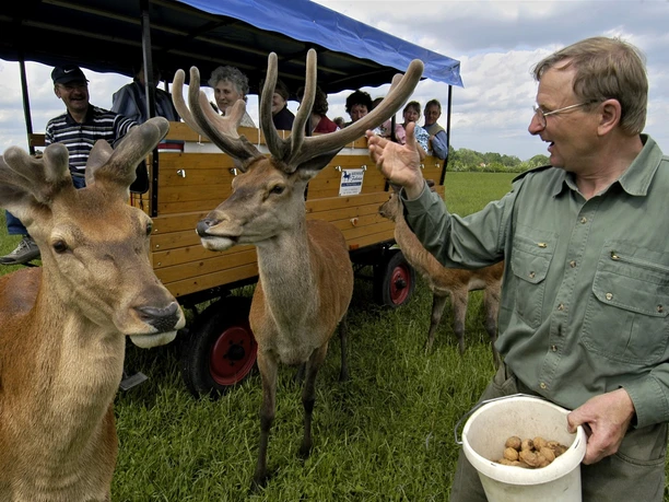 Gut Hirschaue Birkholz