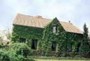 Ferienwohnung im Landhaus Forbrich