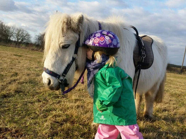 Naturhof Frey - Landwirtschaftlicher Betrieb