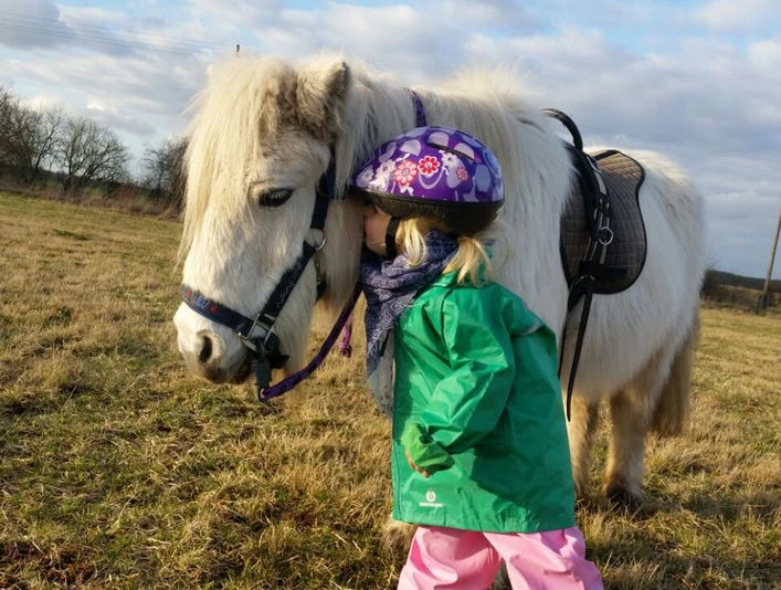 Naturhof Frey - Landwirtschaftlicher Betrieb