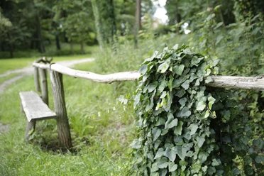 Park Reichenow