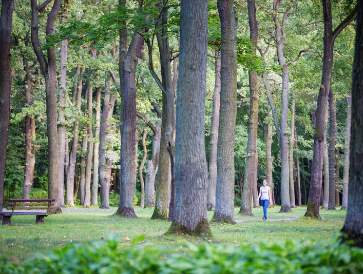 Stadtpark Fürstenwalde