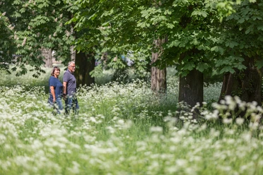 Spaziergang im Kleistpark Frankfurt (Oder)