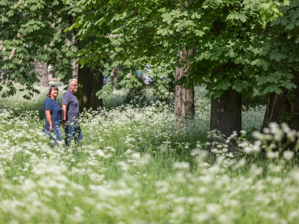 Spaziergang im Kleistpark Frankfurt (Oder)