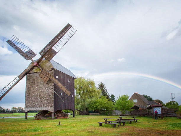 Bockwindmühle in Wilhelmsaue