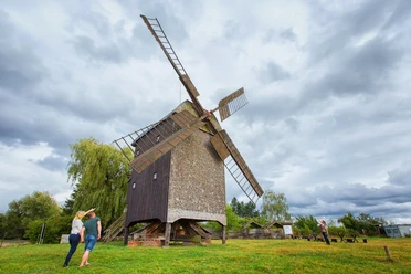 Bockwindmühle in Wilhelmsaue