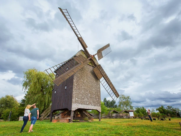 Bockwindmühle in Wilhelmsaue