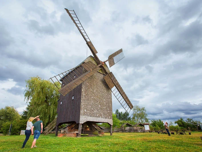 Bockwindmühle in Wilhelmsaue