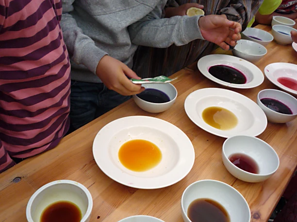 Farbfrisch - Mit Materialien direkt aus der Natur unsere Seelenkräfte wecken