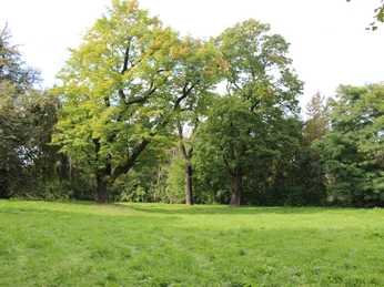 Lienaupark in Frankfurt (Oder)