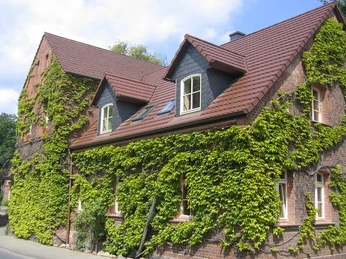 Außenansicht hinterer Teil der Alten Schule