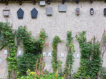 Fledermausmuseum Julianenhof