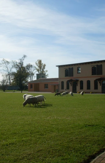 Foto: Fazenda Gut Neuhof