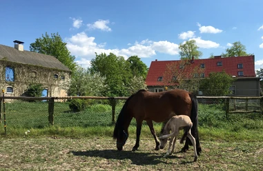 Foto: Undinenhof