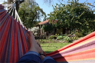 Foto: Ferienhäuser am Havelufer