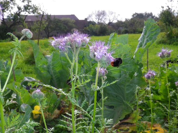 Foto: Ferienhaus Sinneswandel