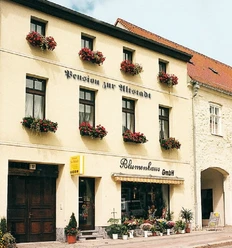 Pension zur Altstadt - Außenansicht