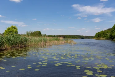 Flusslandschaft Spree