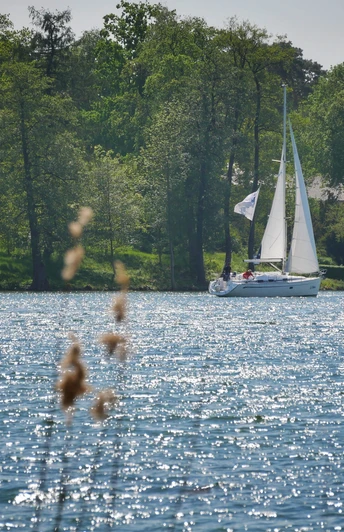 Segelboot auf dem Scharmützelsee