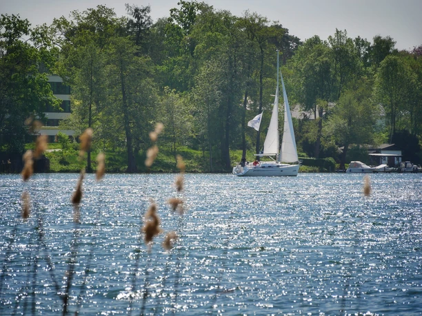 Segelboot auf dem Scharmützelsee