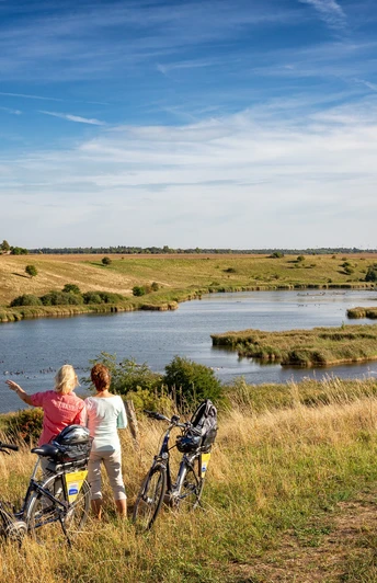 Oderbruchbahn-Radweg mit Blick auf die Lietzener Teiche, Foto:Seenland Oder-Spree e.V./Florian Läufer