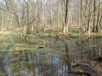 Foto: NaturFreunde Oberbarnim-Oderland e.V.