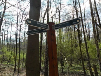 Foto: NaturFreunde Oberbarnim-Oderland e.V.