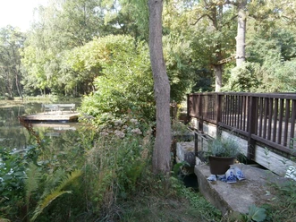 Teich