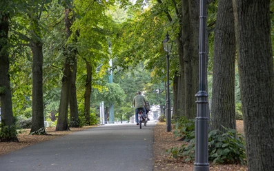 Radfahrer auf dem Humboldthain in Brandenburg an der Havel