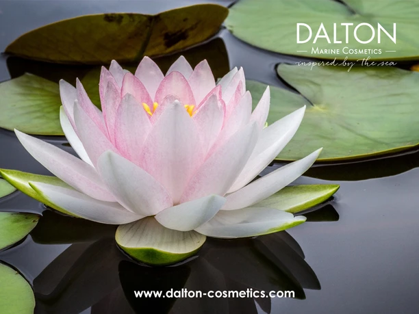 Kosmetik am Petzinsee