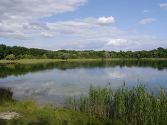 Nymphensee Brieselang