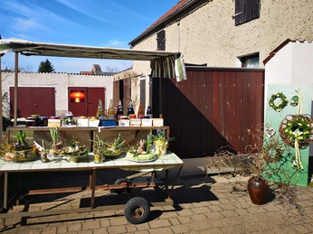 Regionale Produkte am Gartenzaun kaufen