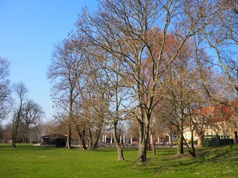 Blick in den Park hinter dem Schloss