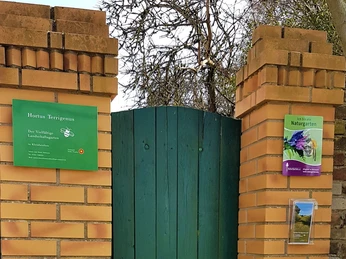 Hortus Terrigenus in einem Vierseithof