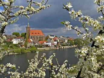 Eisenhüttenstadt (Fürstenberg), Flusslandschaft Oder, Foto Johann Müller (1)