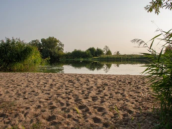 TMB-Fotoarchiv/ScottyScout