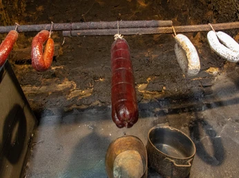 TMB-Fotoarchiv/ScottyScout