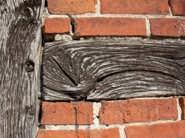 TMB-Fotoarchiv/ScottyScout