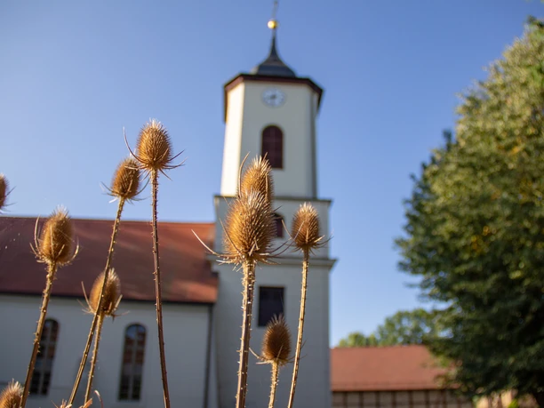 TMB-Fotoarchiv/ScottyScout