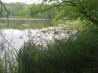 Kesselsee bei Altfriedland