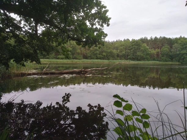 Kesselsee bei Altfriedland