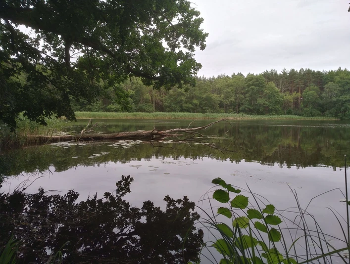 Kesselsee bei Altfriedland
