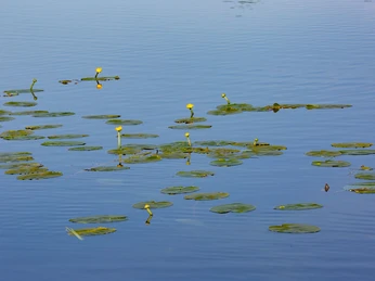 Blick auf das Wasser