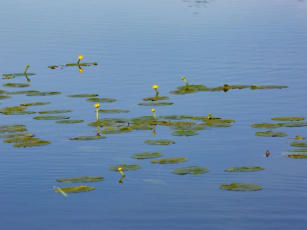 Blick auf das Wasser