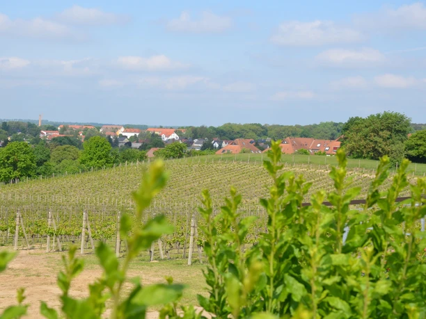 Ausblick vom Wachtelberg