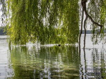 Groß Glienicker See