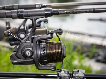 Oder-Spree-Kanal, Karpfen angeln