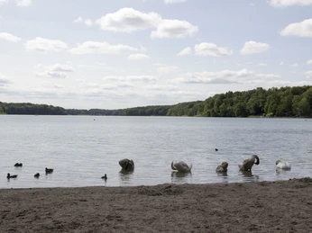 Sacrower See, Foto:TMB-Fotoarchiv/ScottyScout